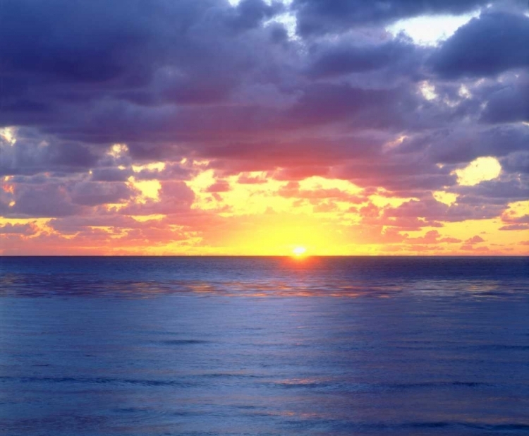 Picture of CALIFORNIA, SAN DIEGO, SUNSET CLIFFS AT SUNSET