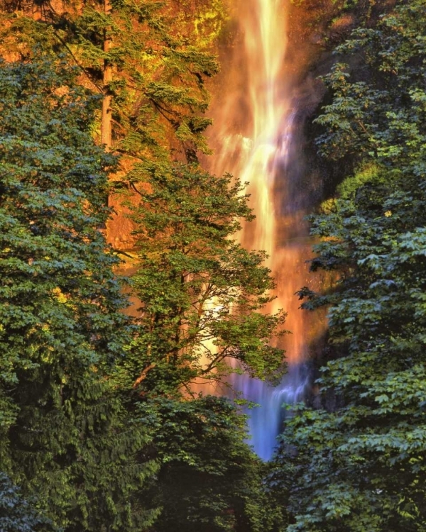 Picture of OR, COLUMBIA GORGE SUNSET ON MULTNOMAH FALLS