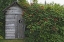 Picture of AK, HOMER AN OUTHOUSE WITH ELDERBERRIES