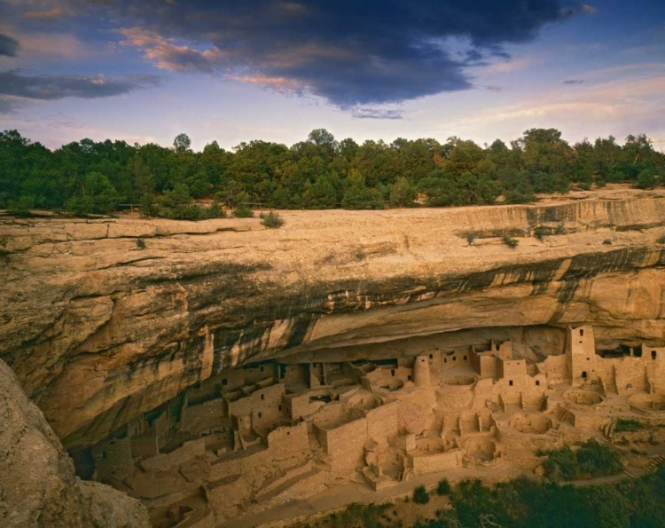 Picture of CO, MESA VERDE NP RUINS OF CLIFF PALACE