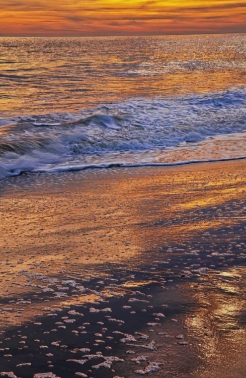 Picture of NEW JERSEY, CAPE MAY SUNSET ON THE BEACH