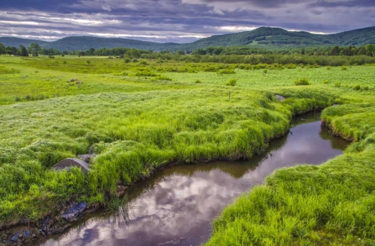 Picture of WV, DAVIS LANDSCAPE OF THE CANAAN VALLEY