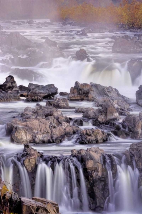 Picture of VIRGINIA, MCLEAN STREAM IN GREAT FALLS SP