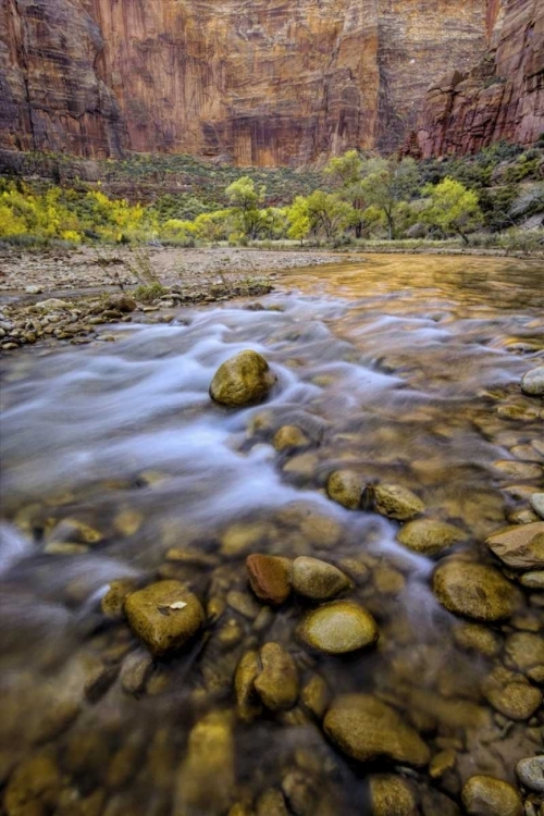 Picture of USA, UTAH, ZION NP STREAM IN AUTUMN SCENIC