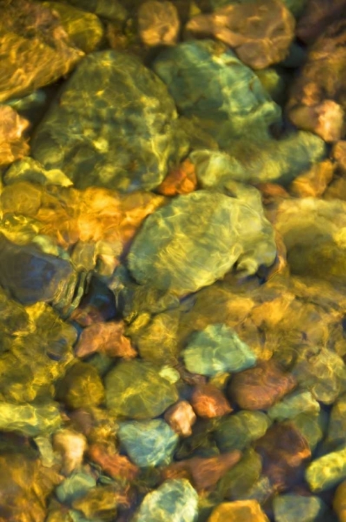 Picture of MT, RATTLESNAKE WILDERNESS AREA UNDERWATER ROCKS