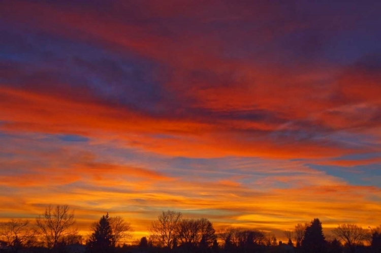 Picture of CANADA, MANITOBA, WINNIPEG SKY AT SUNSET