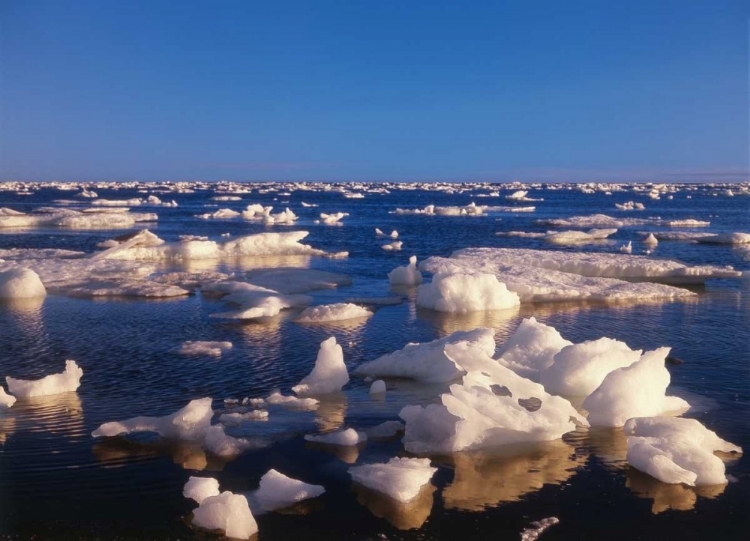 Picture of CANADA, CHURCHILL, ICE FLOE IN HUDSON BAY