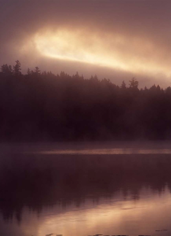 Picture of CANADA, BC, CLEARWATER, FOG ON DUTCH LAKE