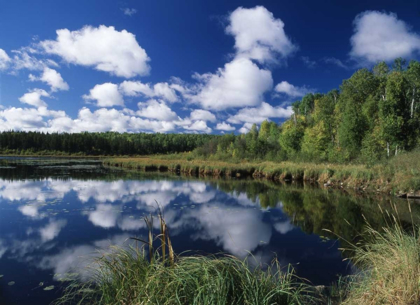 Picture of CANADA, SASKATCHEWAN,PRINCE ALBERT NP, POND