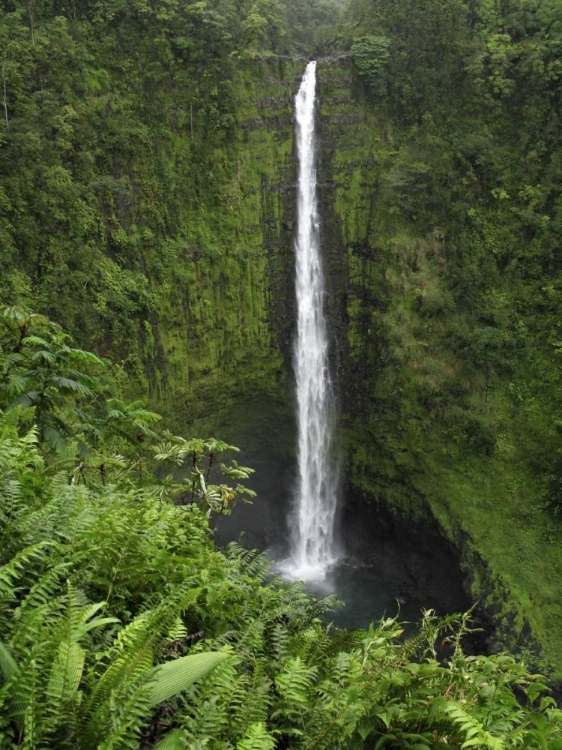 Somerset House - Images. USA, HAWAII, HILO VIEW IF AKAKA FALLS