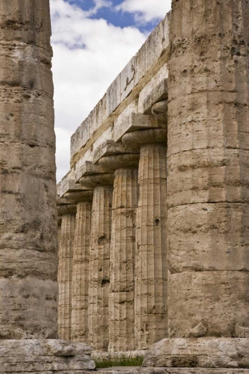 Picture of ITALY, CAMPANIA, PAESTUM TEMPLE OF HERA