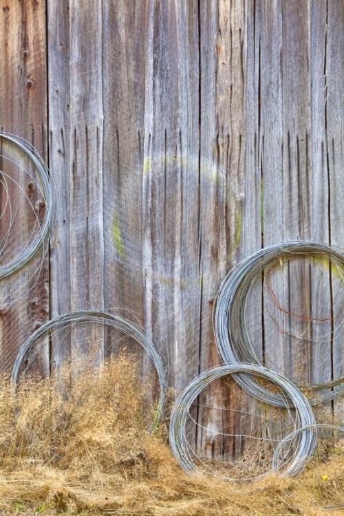 Picture of WA, SILVERDALE WIRE COILED ON BARN WALL