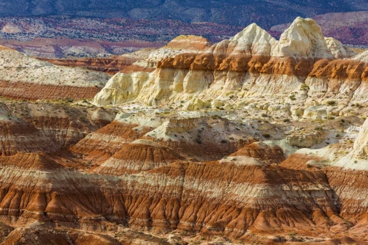 Picture of ARIZONA A DESERT AREA CALLED TOAD STOOLS