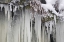 Picture of WASHINGTON, LEAVENWORTH ICICLES AND SNOW