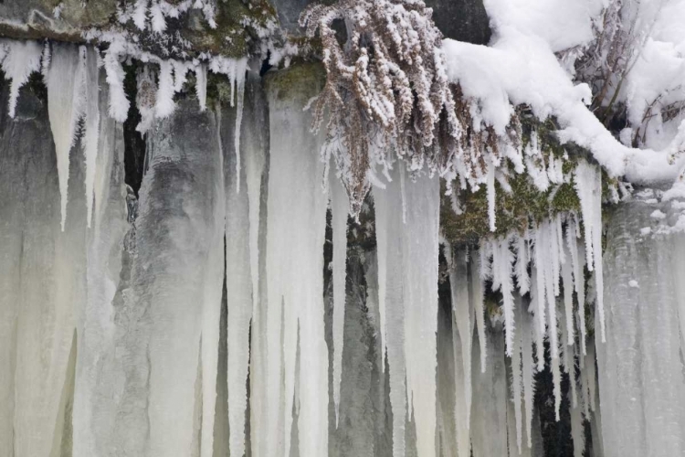 Picture of WASHINGTON, LEAVENWORTH ICICLES AND SNOW