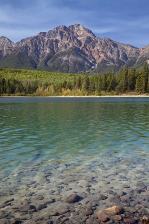 Picture of CANADA, JASPER NP PATRICIA LAKE AND PYRAMID MT