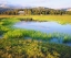 Picture of CA, YOSEMITE THE TUOLUMNE RIVER IN THE MEADOW