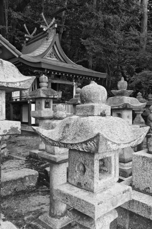 Picture of JAPAN, HEGURI-CHO BYO-DO-JI KASUGA SHRINE