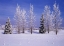 Picture of CANADA, MANITOBA, BIRDS HILL PROVINCIAL PARK