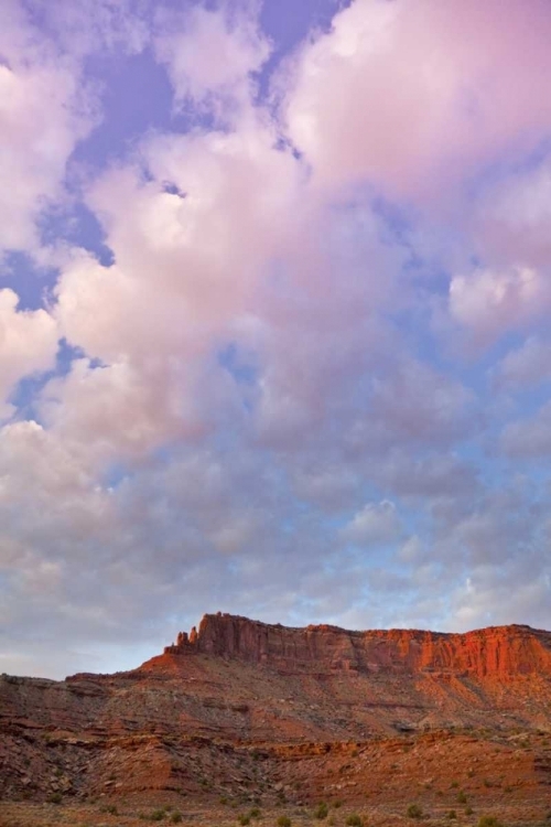 Picture of UT, CANYONLANDS NP GRAND VIEW POINT OVERLOOK