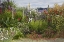 Picture of WA, POULSBO PERENNIAL GARDEN WITH FLOWER