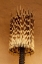 Picture of NAMIBIA, OPUWO A LAMP MADE OF PORCUPINE QUILLS