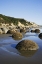 Picture of NEW ZEALAND, SOUTH ISLAND MOERAKI BOULDERS