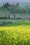 Picture of ITALY, TUSCANY VILLA ON A COUNTRYSIDE HILL