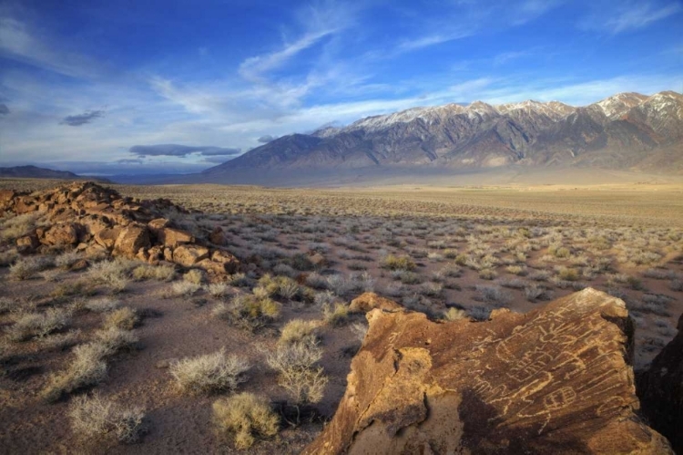 Picture of CALIFORNIA GREAT BASIN ABSTRACT PETROGLYPHS