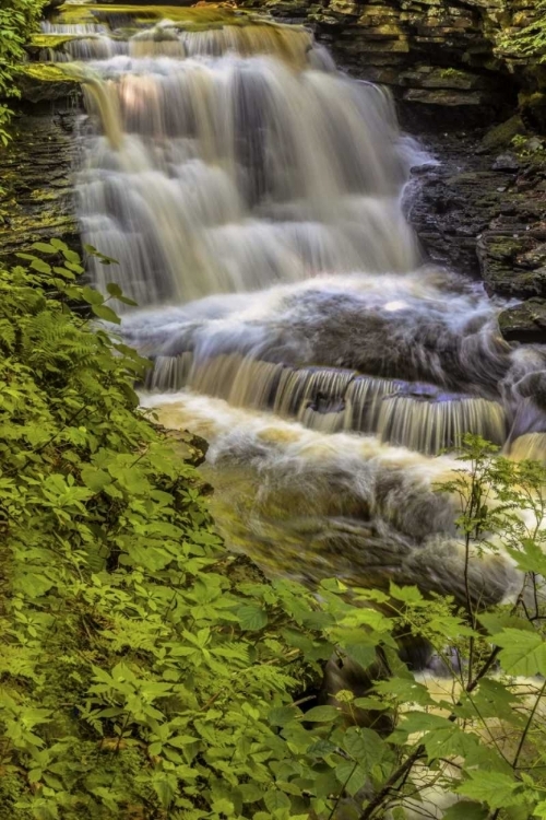 Picture of PENNSYLVANIA, RICKETTS GLEN SP DELAWARE FALLS