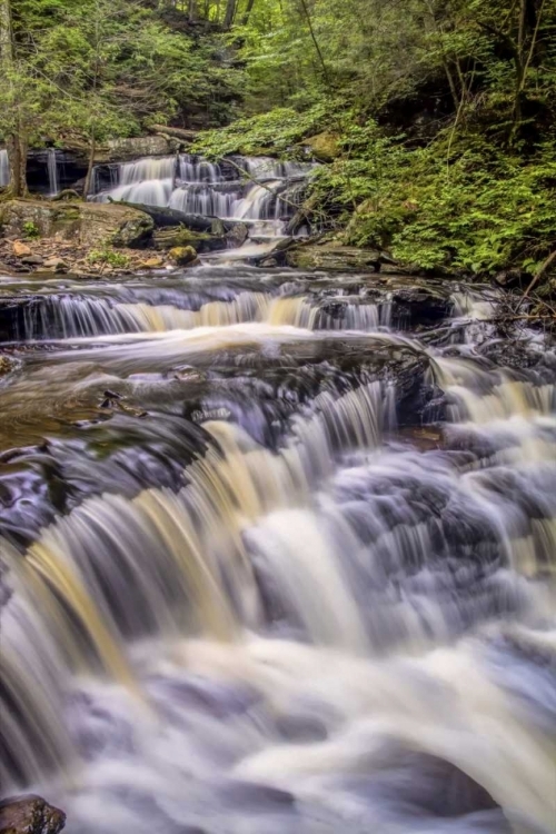 Picture of PENNSYLVANIA, RICKETTS GLEN SP DELAWARE FALLS