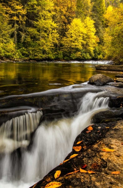 Picture of NORTH CAROLINA, BREVARD LANDSCAPE IN PISGAH NF