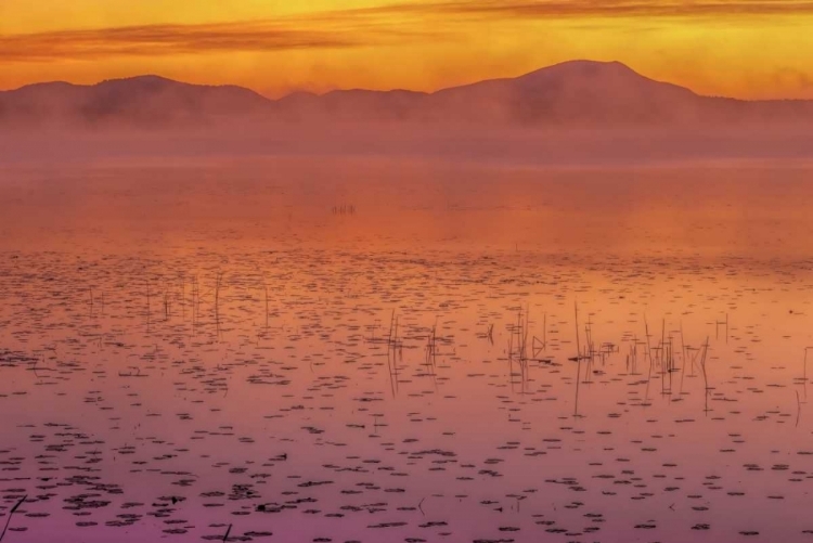 Picture of NEW YORK, ADIRONDACK MTS MIST ON RAQUETTE LAKE