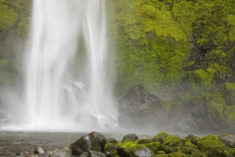 Picture of OREGON, COLUMBIA RIVER GORGE ELOWAH FALLS