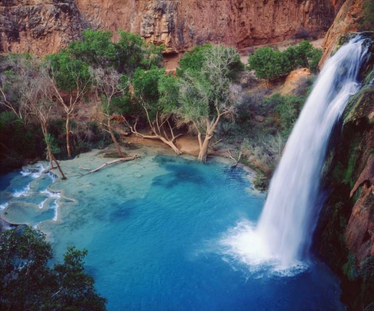 Picture of ARIZONA HAVASU FALLS IN THE GRAND CANYON