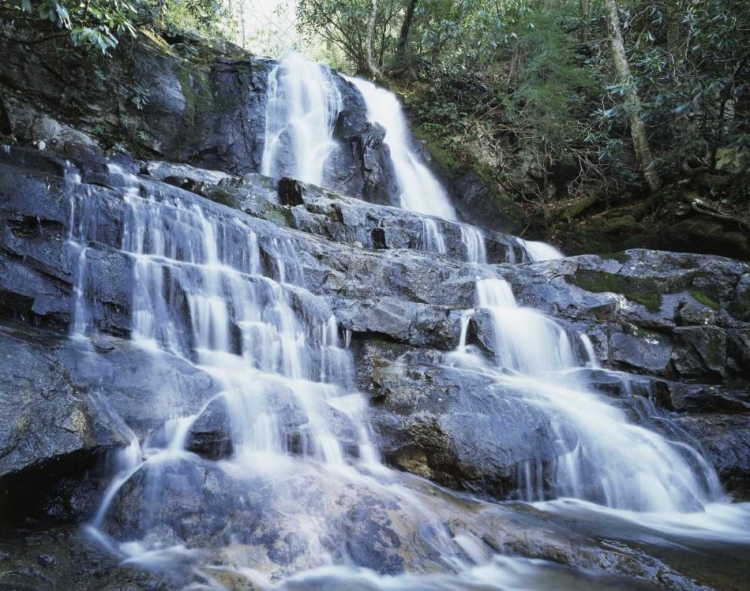 Picture of NORTH CAROLINA, GREAT SMOKY MTS WATERFALL