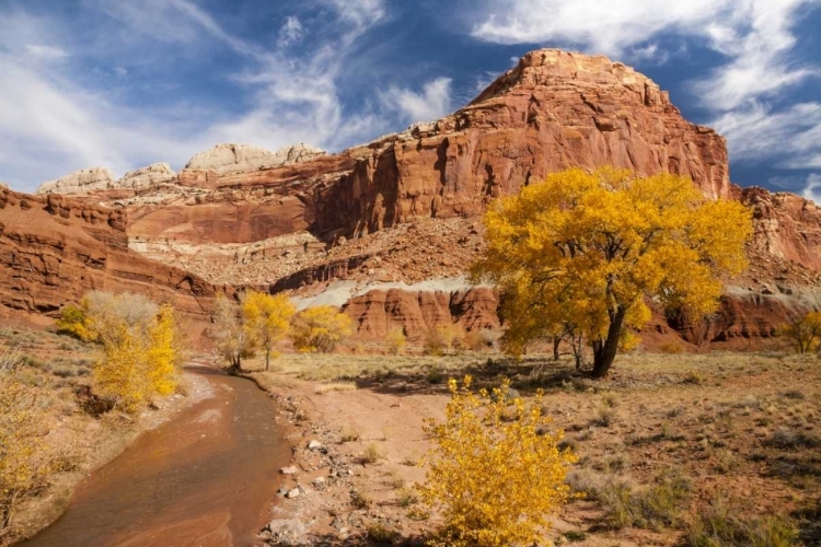 Picture of UTAH, CAPITOL REEF CREEK AND AUTUMN LANDSCAPE