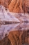 Picture of UTAH, GLEN CANYON ABSTRACT REFLECTION SANDSTONE