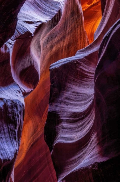 Picture of ARIZONA, PAIGE ROCK PATTERNS IN ANTELOPE CANYON