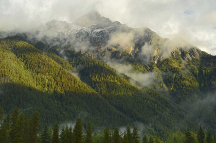 Picture of CANADA, BC, MT ROBSON PP MOUNTAIN LANDSCAPE