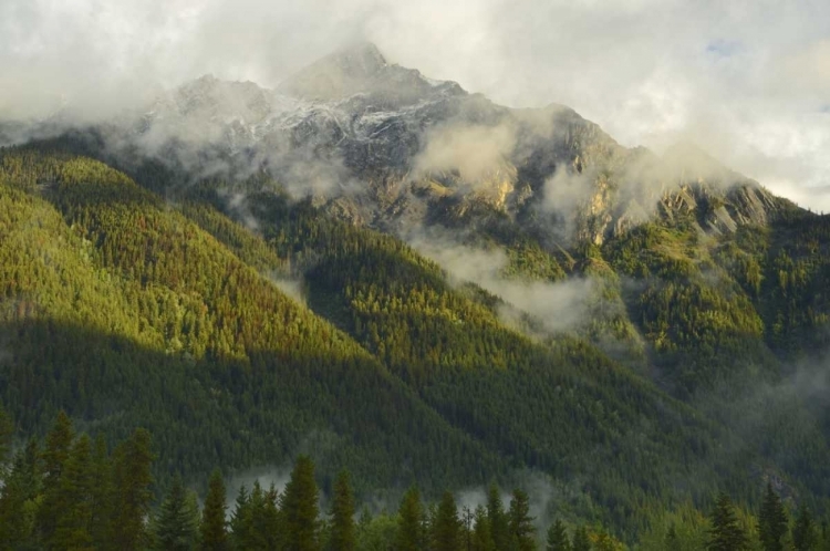 Picture of CANADA, BC, MT ROBSON PP MOUNTAIN LANDSCAPE