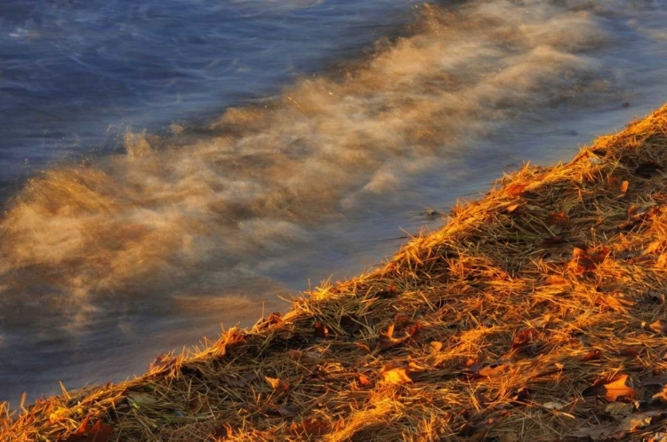 Picture of CANADA, ONTARIO WAVES ON SHORE OF LAKE MUSKOKA