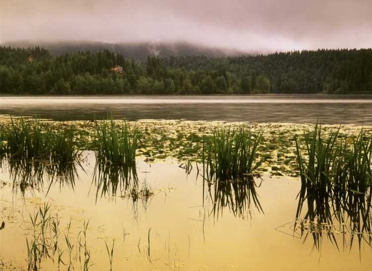 Picture of CANADA, BRITISH COLUMBIA, CLEARWATER, DUTCH LAKE