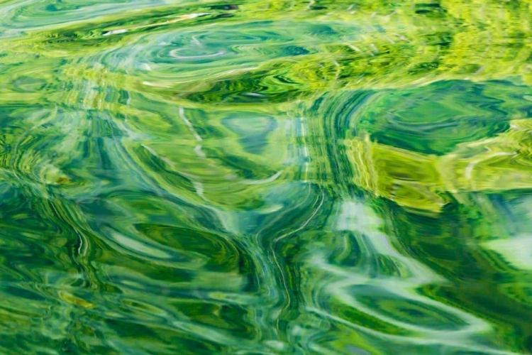 Picture of AK, GLACIER BAY ABSTRACT OF WATER IN DUNDAS BAY