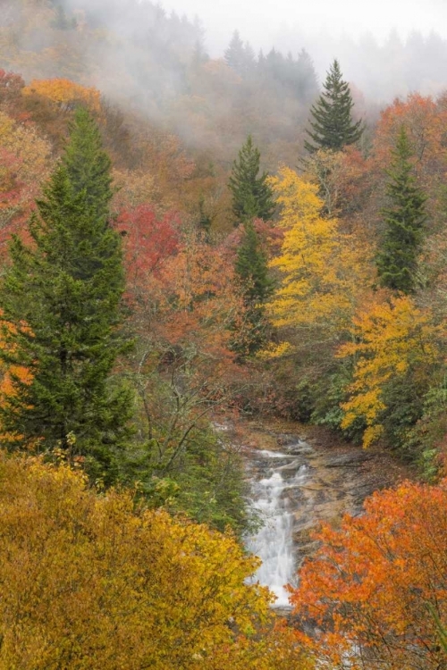 Picture of NORTH CAROLINA, BUBBLING SPRINGS FALLS IN AUTUMN