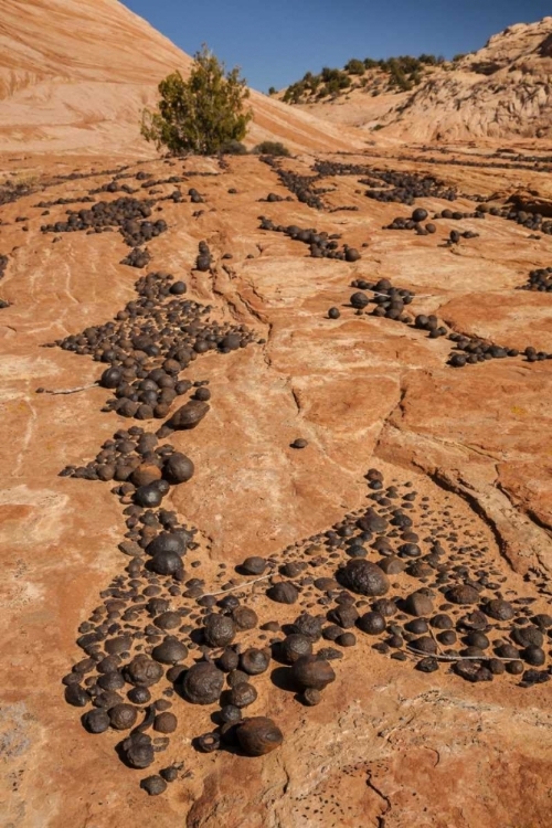 Picture of UT, GRAND STAIRCASE ESCALANTE NM MOKI MARBLES