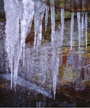 Picture of CALIFORNIA, SIERRA NEVADA ICICLES IN THE SIERRA