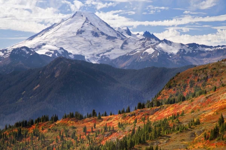 Picture of WA, MOUNT BAKER FROM YELLOW ASTER BUTTE TRAIL