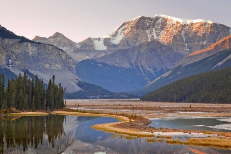 Picture of CANADA, JASPER NP SUNRISE ON MOUNT KITCHENER