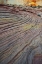 Picture of UT, ZION NP SLICK ROCK AND RED ROCK